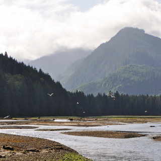 Knight Inlet